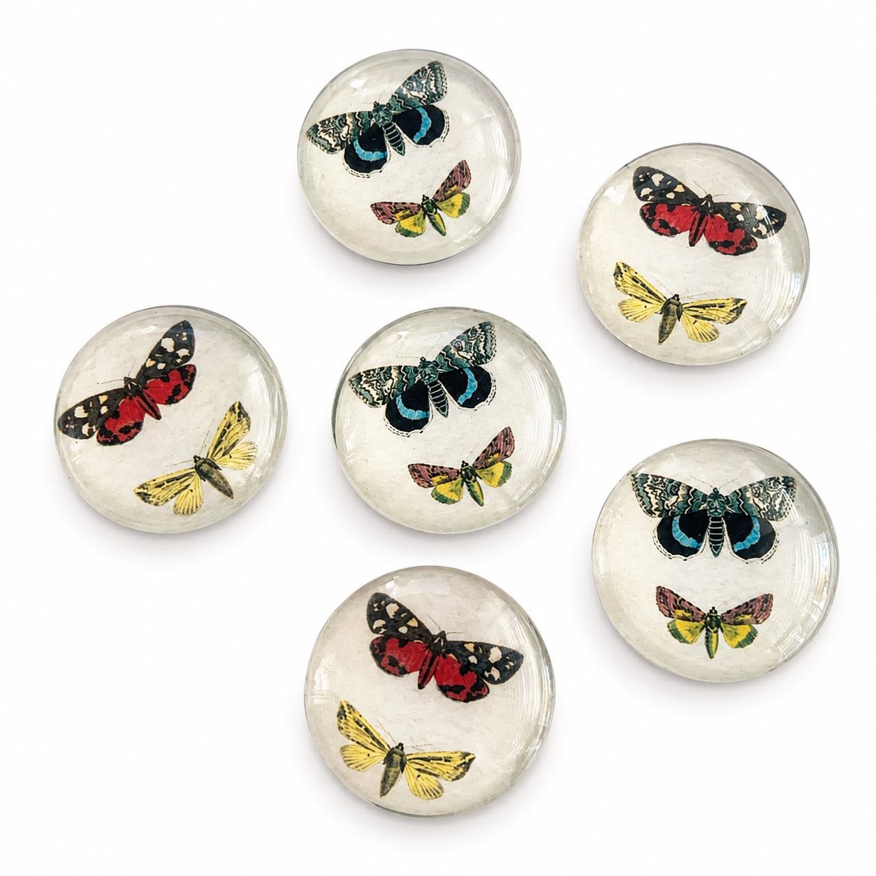 Butterfly Magnet - Size 40mm