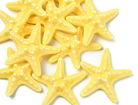 Starfish Embellishment - 58mm