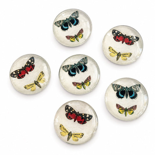 Butterfly Magnet - Size 40mm