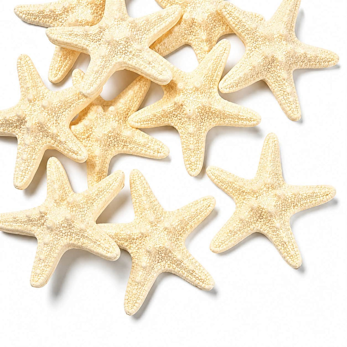 Starfish Embellishment - 58mm