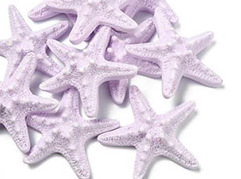 Starfish Embellishment - 58mm