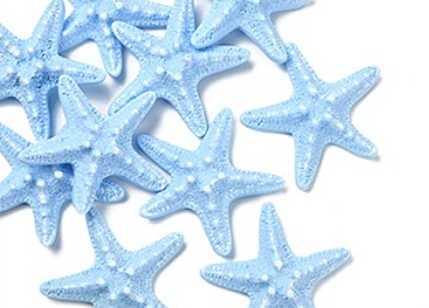 Starfish Embellishment - 58mm