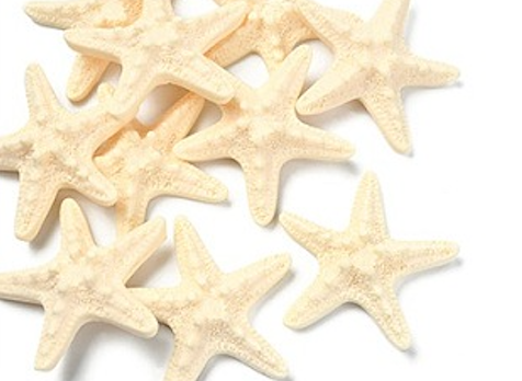 Starfish Embellishment - 58mm